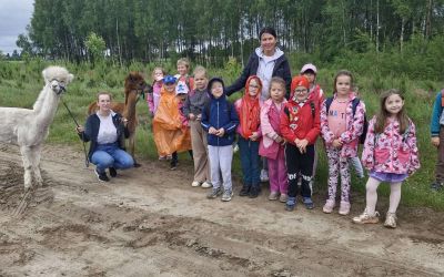 SP W CZAPIEWICACH: Warsztaty z alpakami