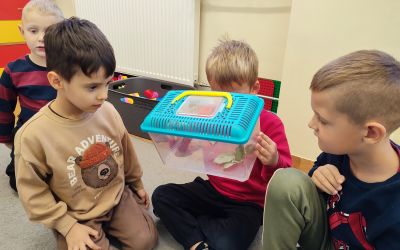 PRZEDSZKOLE NR 1 W BRUSACH: Realizacja międzynarodowego programu promocji zdrowia psychicznego „Przyjaciele Zippiego” w Przedszkolu nr 1 w Brusach