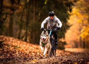 SUKCES „SZAREJ WILCZYCY” NA MISTRZOSTWACH POLSKI