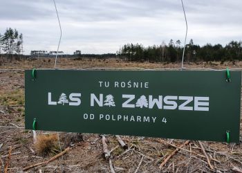 Nowy las w Męcikale dzięki akcji „Zadbajmy o dobry klimat”!