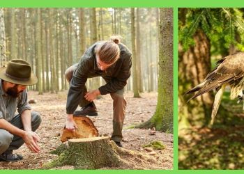 WIZYTA WOLONTARIUSZY - UCZNIÓW Z TECHNIKUM LEŚNEGO W WARCINIE - zaproszenie na spotkanie