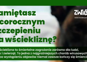WŚCIEKLIZNA - ŚMIERTELNE ZAGROŻENIE DLA LUDZI I ZWIERZĄT