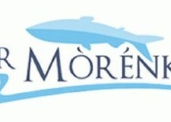 Darmowy cykl szkoleń dla branży turystycznej