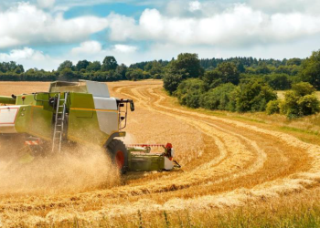 BEZPIECZNA PRACA Z MASZYNAMI W CZASIE ŻNIW