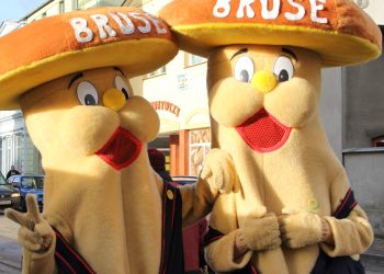 KONKURS „EKO-BRUSEK” – CZEKAMY NA ZGŁOSZENIA