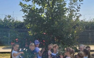 SP LEŚNO: AKCJA "PRZYTUL SIĘ DO DRZEWA" #straznicylasow.pl