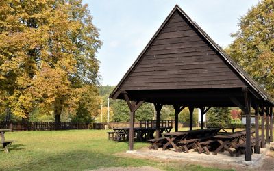 ODNOWIENIE TERENU REKREACYJNEGO W WIDNIE