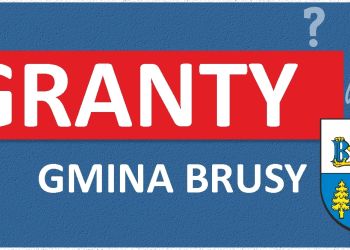 GRANTY DLA ORGANIZACJI POZARZĄDOWYCH ROZDANE