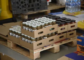 Brusy wspierają Ukrainę!