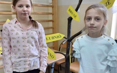 SP LUBNIA: „Poetyckie podróże po Kaszubach” – konkurs regionalny w Męcikale