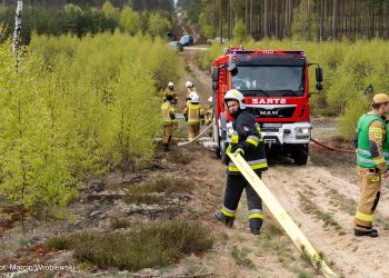 DZIAŁANIA PODCZAS POŻARÓW LASÓW - ĆWICZENIA STRAŻACKIE