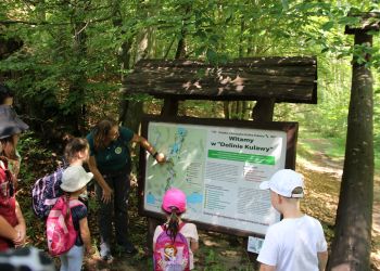 Spacer Doliną Kulawy