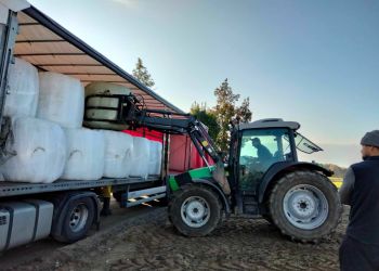 #BrusyPowodzianom: ROLNICY ROLNIKOM – TRANSPORTY SIANOKISZONKI DLA POWODZIAN