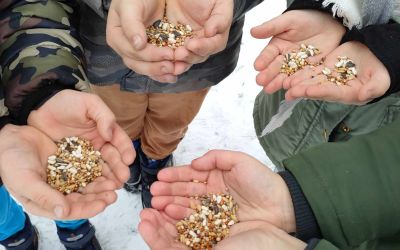 SP CZAPIEWICE: POMÓŻMY PTAKOM PRZETRWAĆ ZIMĘ