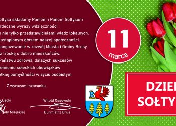 Z OKAZJI DNIA SOŁTYSA