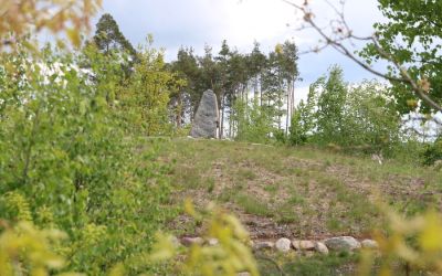 WĘDRÓWKI PO GMINIE BRUSY - KAMIENNE KRĘGI W LEŚNIE